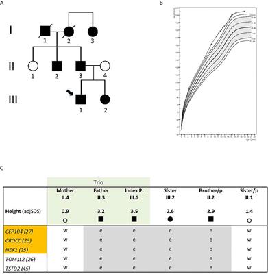 Evidence That Non-Syndromic Familial Tall Stature Has an Oligogenic Origin Including Ciliary Genes